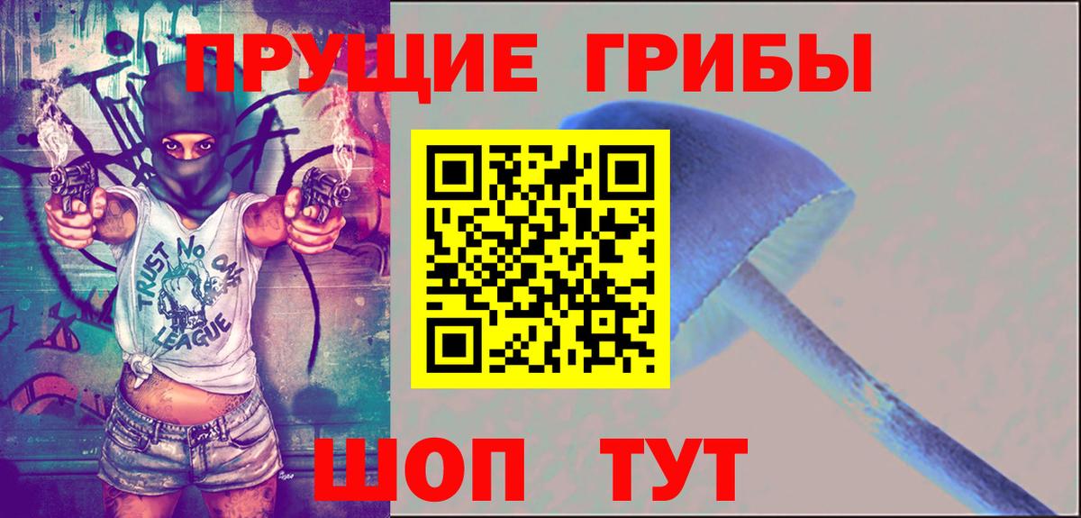 Галлюциногенные грибы Cubensis Кемерово